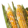 Urban Accents Corn on the Cob Seasoning Spicy Chili Lime